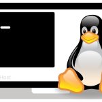 Linux cheat sheet: terminal commands for beginners