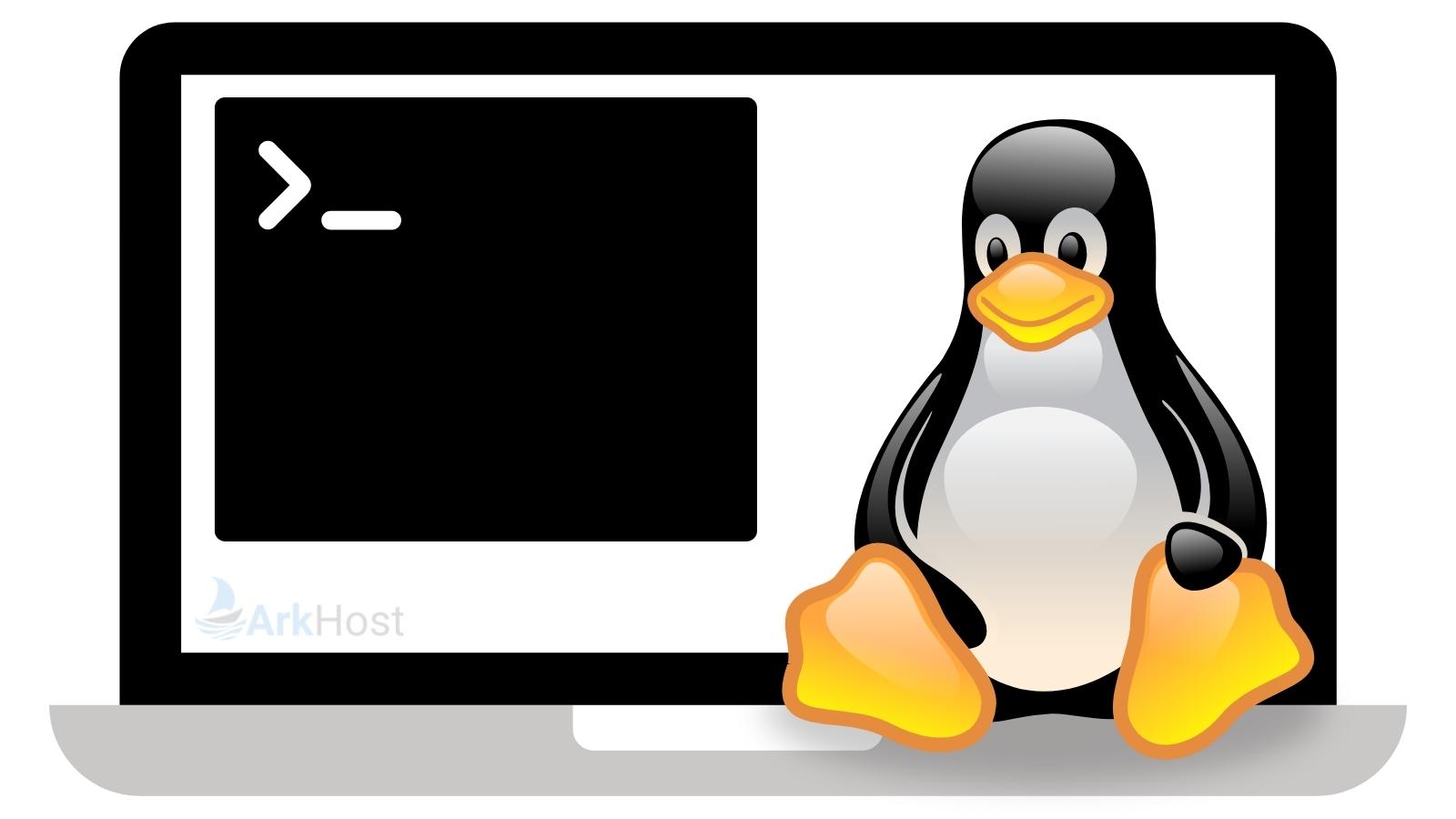 You are currently viewing Linux cheat sheet: terminal commands for beginners